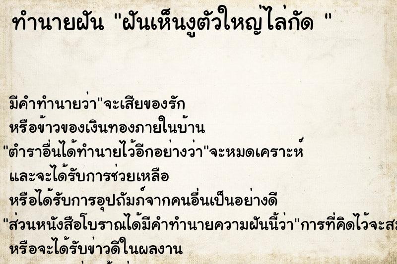 ทำนายฝัน ฝันเห็นงูตัวใหญ่ไล่กัด 